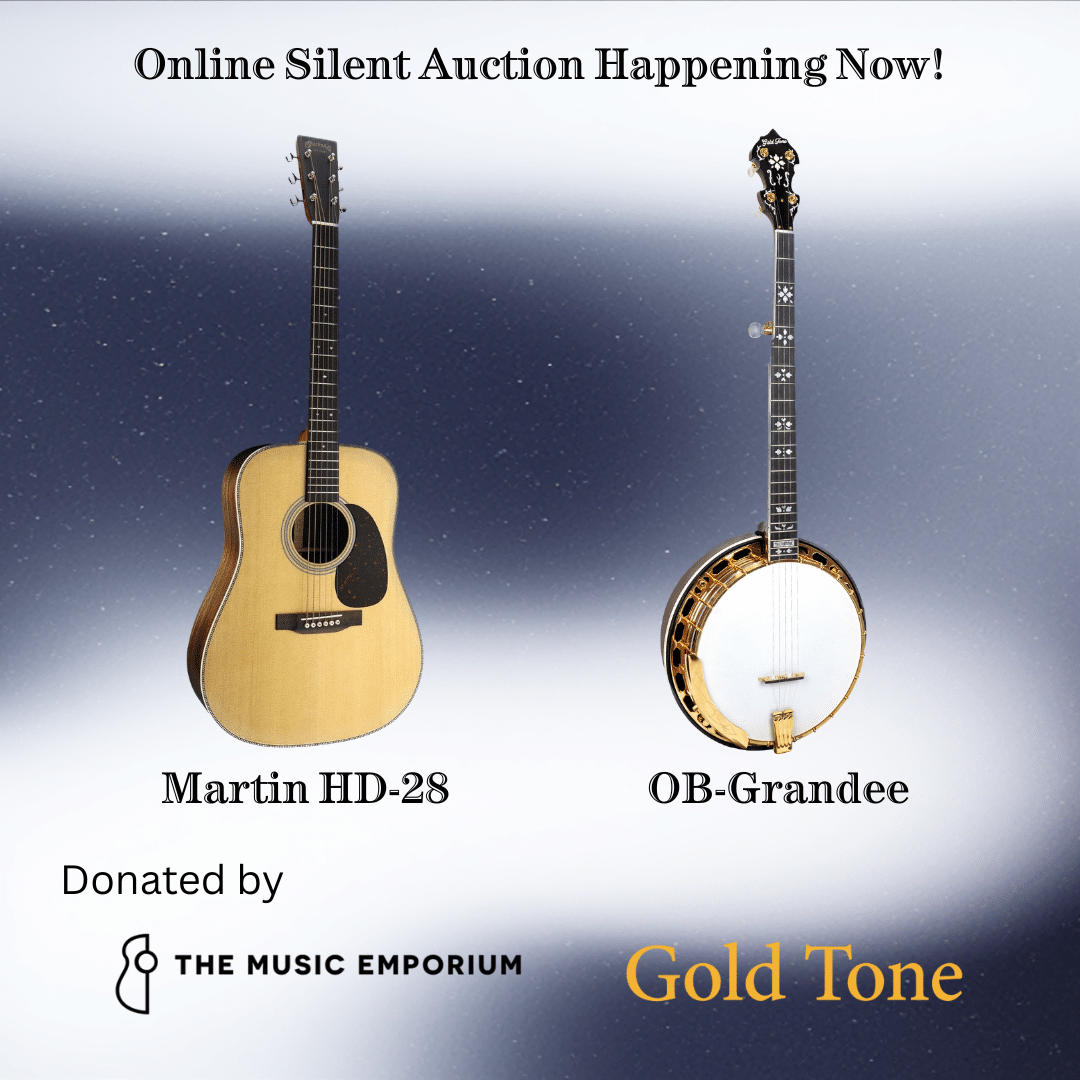Online Silent Auction Happening Now! 